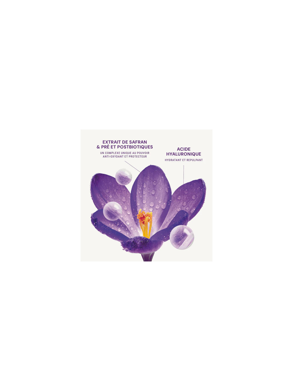 Anti-Aging Face Care Set for Women | Targeted Serum & Lightweight Cream