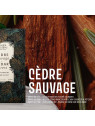 Sachet parfumé Cèdre sauvage 15g