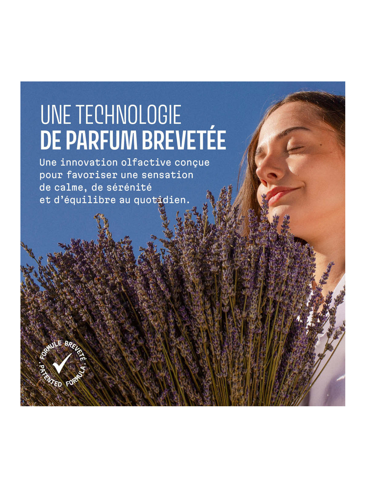 Sapone Liquido Lavanda 500ml