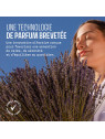 Sapone Liquido Lavanda 500ml