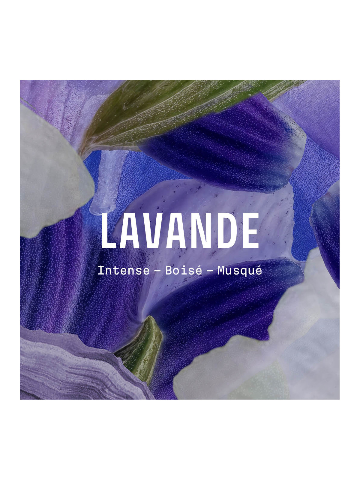 Massage- und Pflegeöl Lavendel 100ml