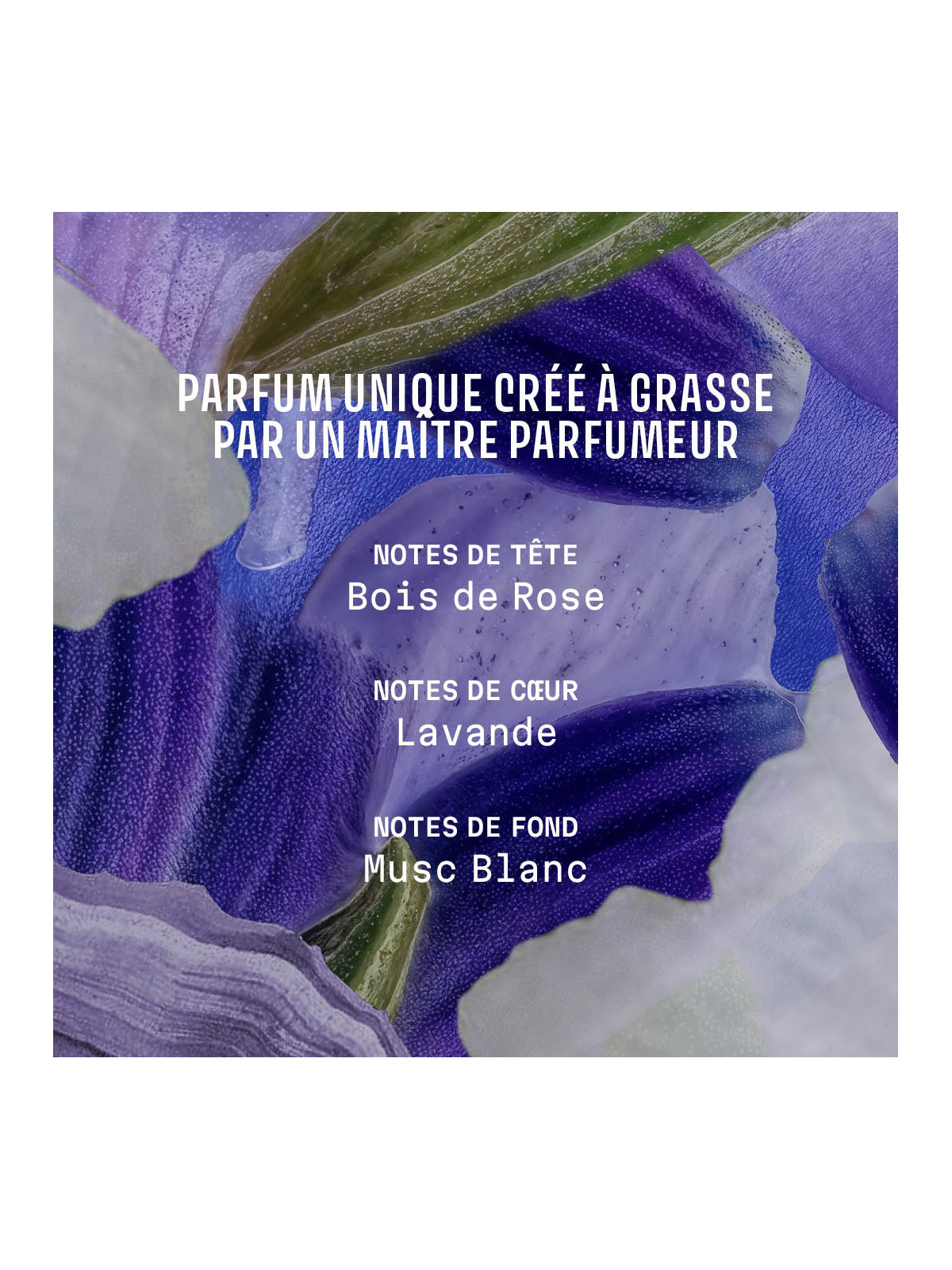 Eau de toilette Lavanda 50ml