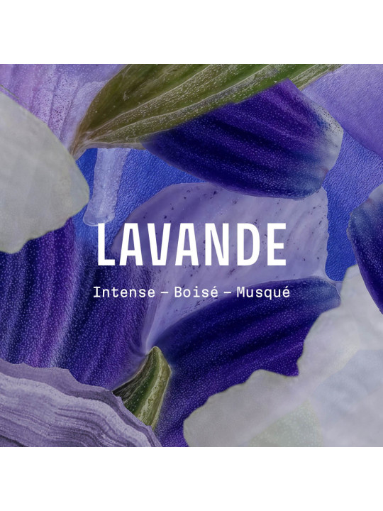 Candela vegetale Lavanda 180g