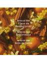 Crème corps Bois de la Sierra 150ml