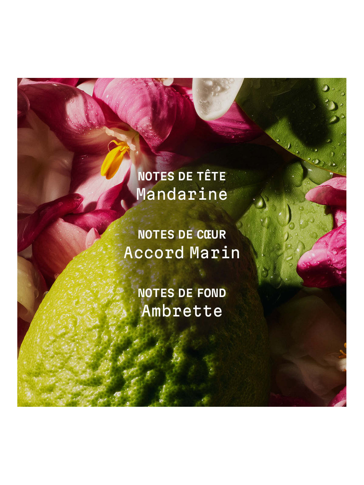 Body cream Azure Blue Se 150ml (5.1 fl.o