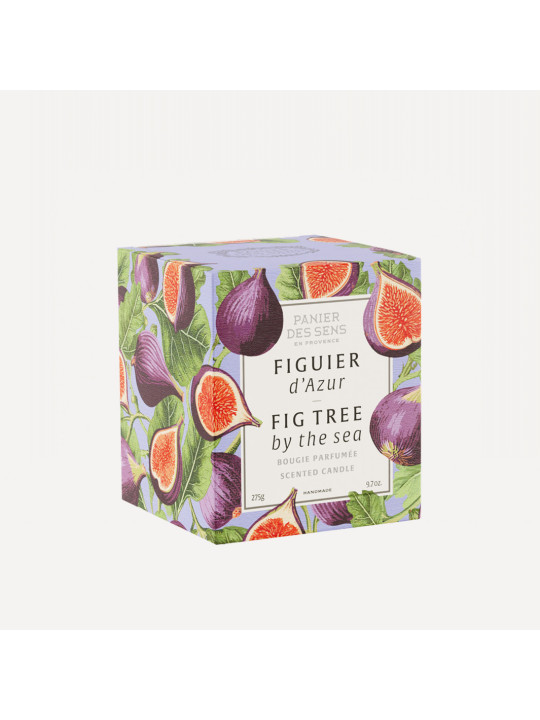Candle | Fig