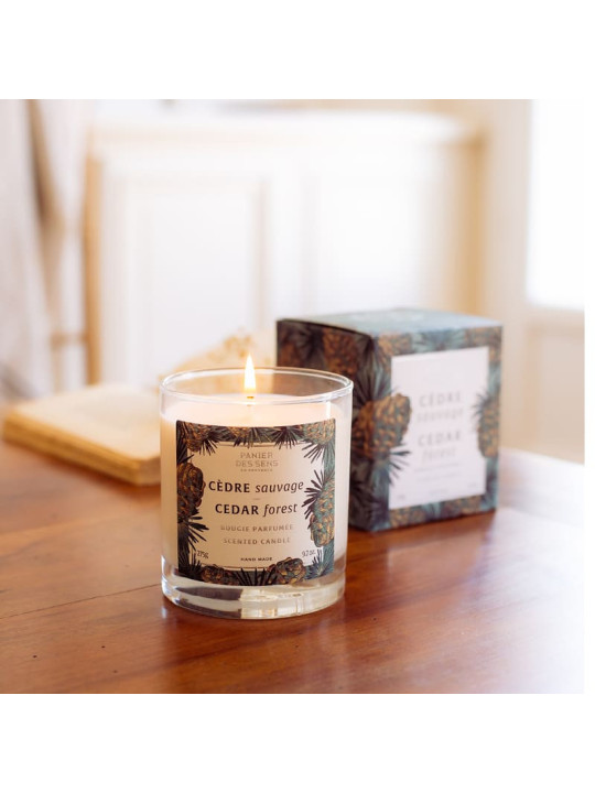 Scented Candle |Cedar Forest