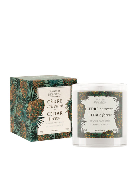 Scented Candle |Cedar Forest