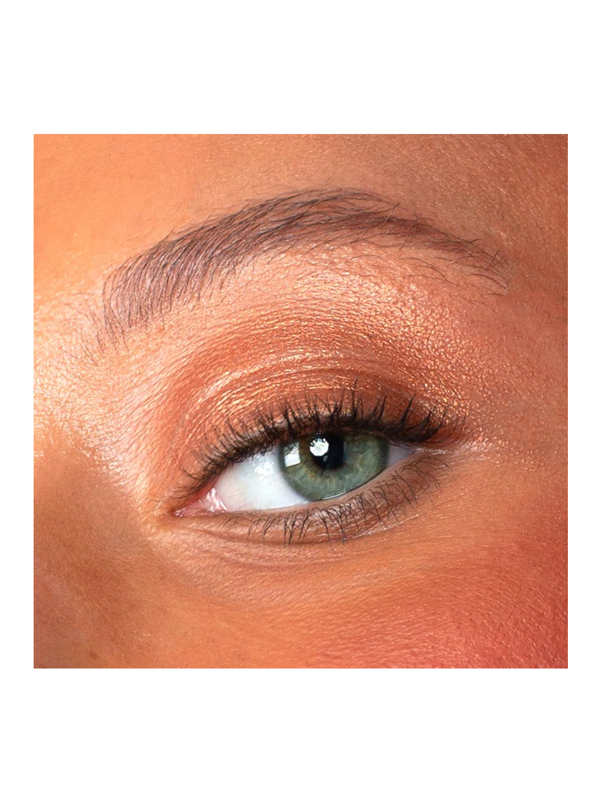 Eyeshadow & Highlighter - Bronze