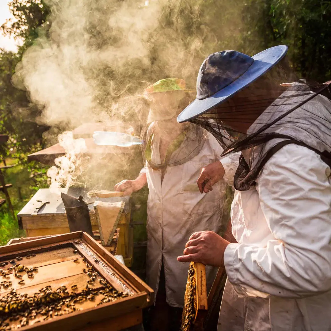 Beekeeper with beehive